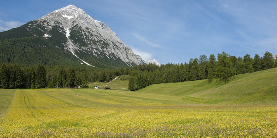 sommer001