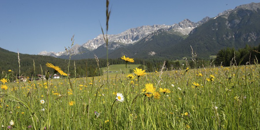 sommer010