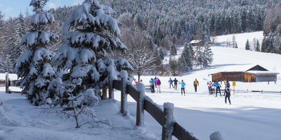 winter017